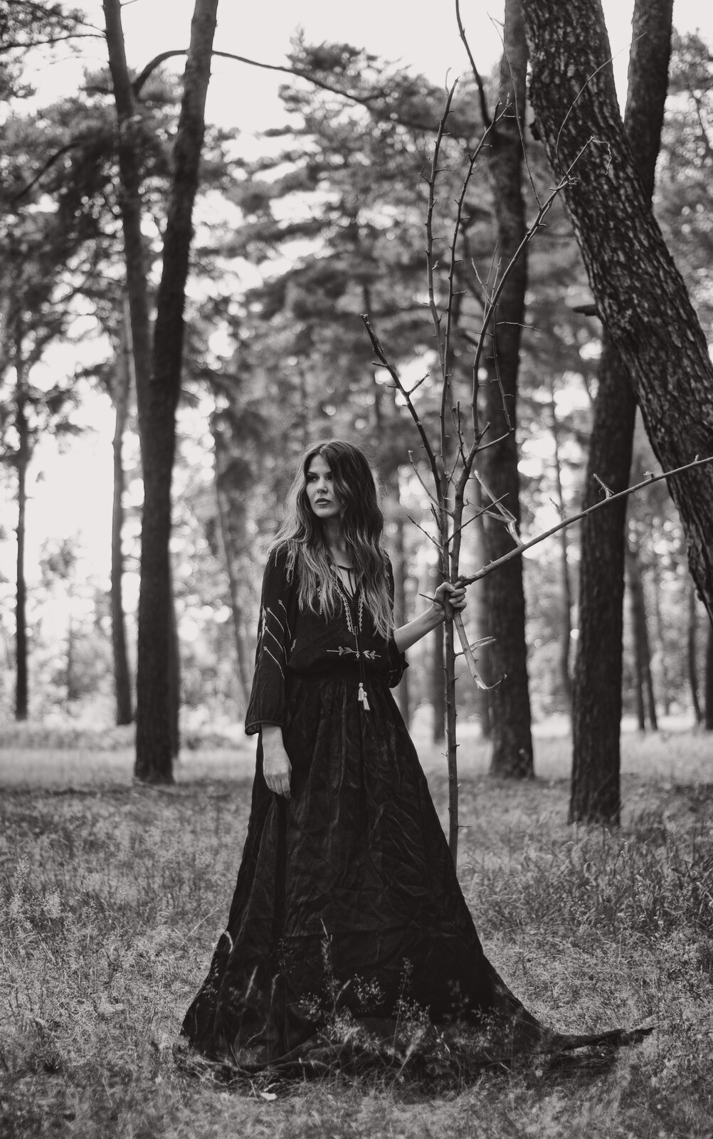 Woman in a dark dress standing among pine trees with a bare branch