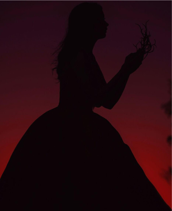 Silhouette of a woman at dusk holding twisted branches